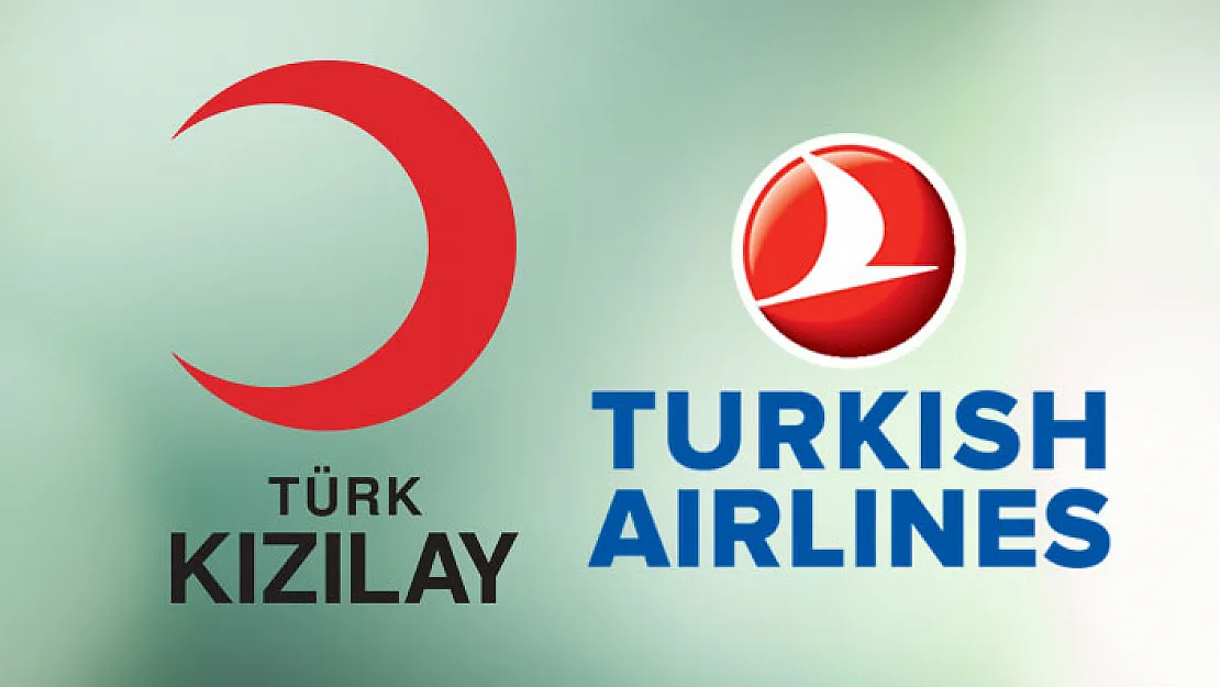 THY ve Türk Kızılayı Personel Alım İlanı Yayımladı! THY Personel Alımı 2019! Türk Kızılayı Personel Alımı Başvuru Ekranı