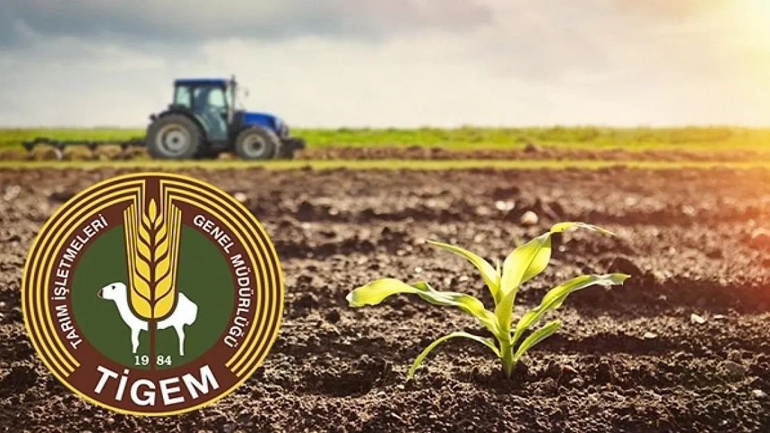 TİGEM personel alımı başvuru sonuçları belli oldu! TİGEM Başvuru sonuçları