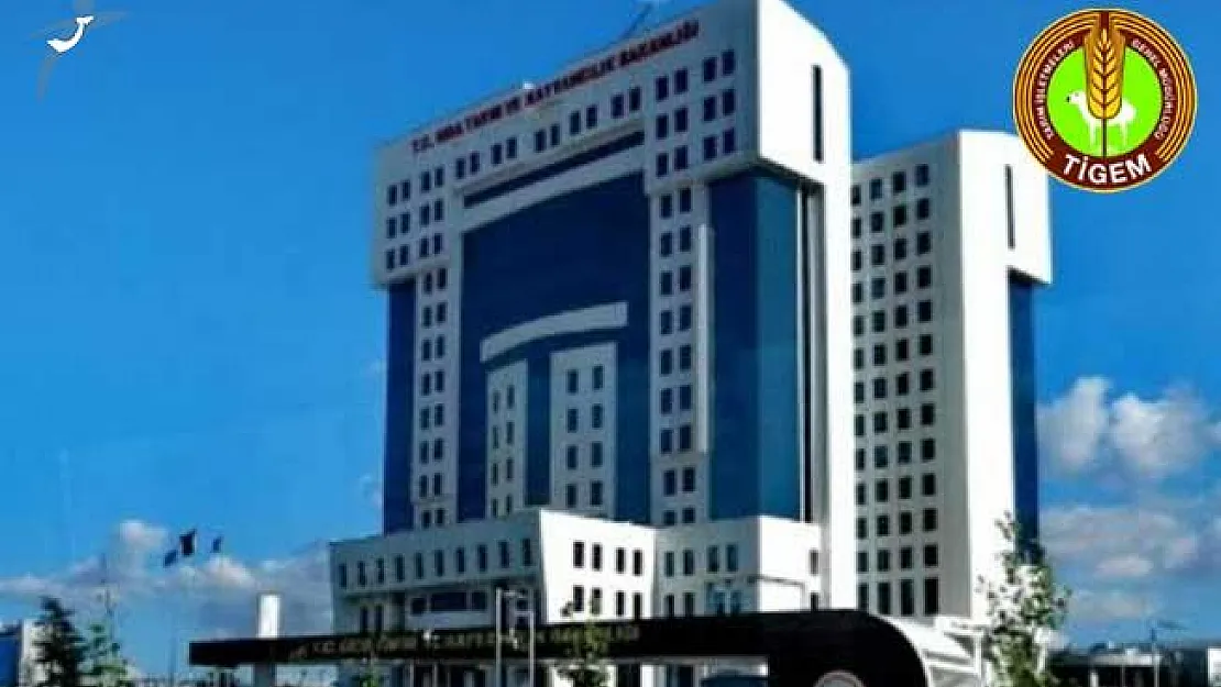 TİGEM Sözleşmeli Teknik Personel Alımı Sözlü Sınav Tarihleri Belli Oldu!