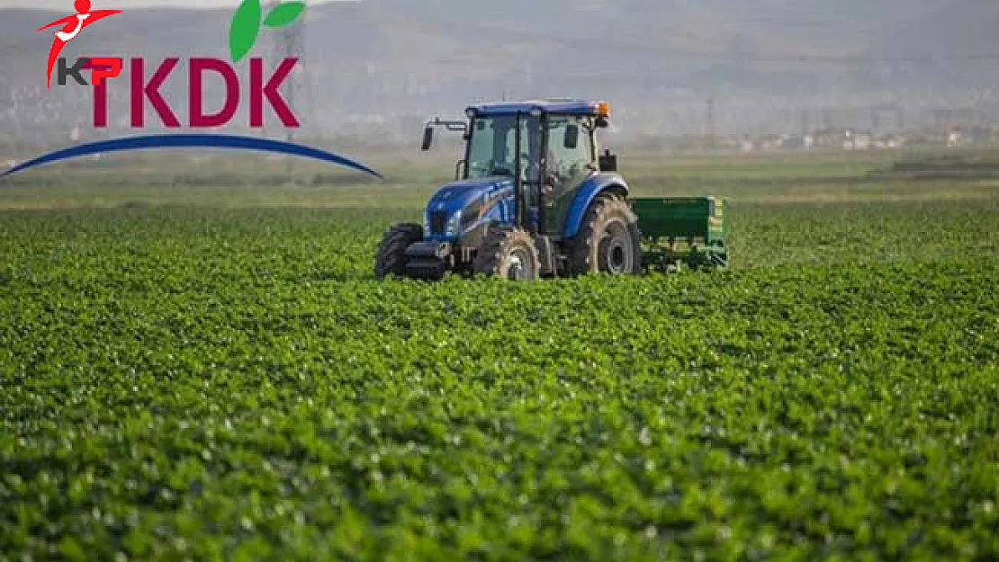 TKDK 200 Personel Alım Sınavı Soru ve Cevapları Yayımlandı