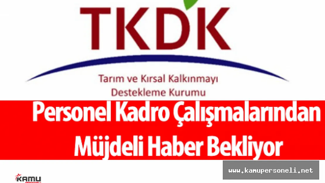TKDK Personeli Kadro Konusunda Müjdeli Haber Bekliyor