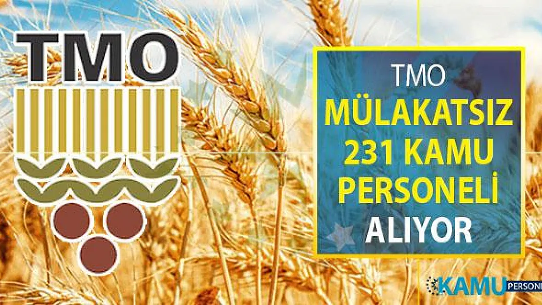 TMO Mülakatsız 231 Kamu Personeli Alımı Yapıyor