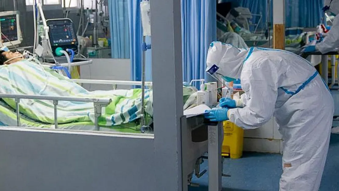Tokat'ta corona virüse yakalanan doktorun sözleri herkesi korkuttu! Bakan Koca paylaştı