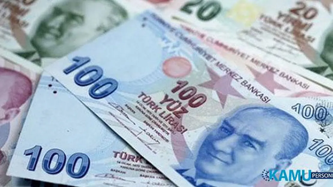 Toprak Mahsulleri Ofisinden (TMO) Fındık Bedelleri Ödemesi Kararı! 20 Gün İçinde Ödemeler Yapılacak