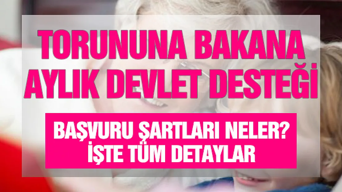 Torunu olan büyüklere karşılıksız 425 TL devlet desteği ödemesi başladı! PTT'den gidip kimliğinizle parayı çekin