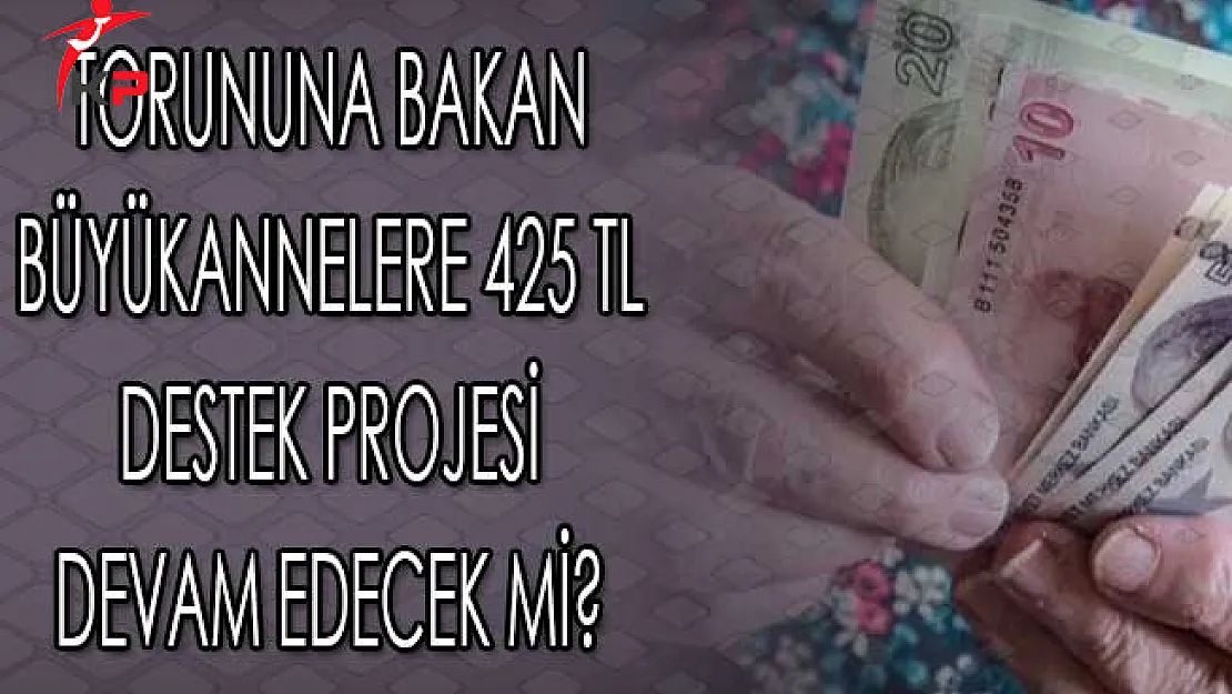 Torununa Bakan Büyükannelere 425 TL Destek Projesi Devam Edecek Mi?