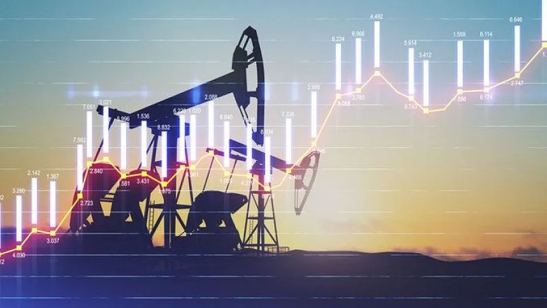 TPAO'dan Petrol Açıklaması! Rekor Tazeledi