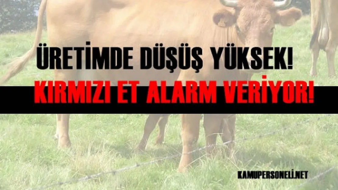 TÜİK Açıkladı &quotKırmızı Et Sıkıntısı Yaşanabilir"