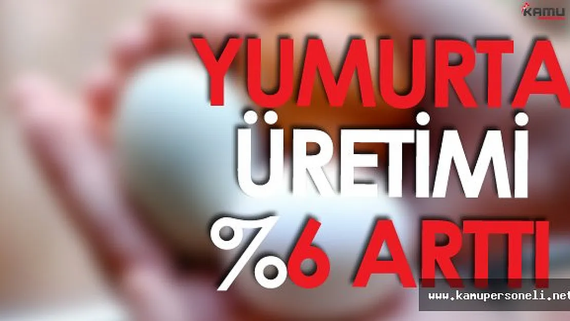 TÜİK Kümes Hayvancılığı Üretimi İstatistiklerini Açıkladı