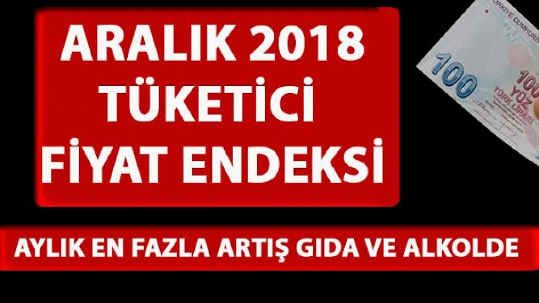 Tüketici Fiyat Endeksi, Aralık 2018 TÜİK verileri