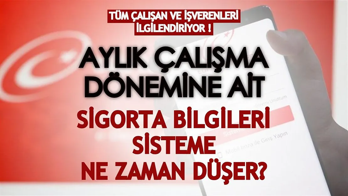 Tüm çalışan ve işverenleri ilgilendiriyor! Aylık çalışma döneminin sigorta bilgileri e-Devlet'te ne zaman görülür?
