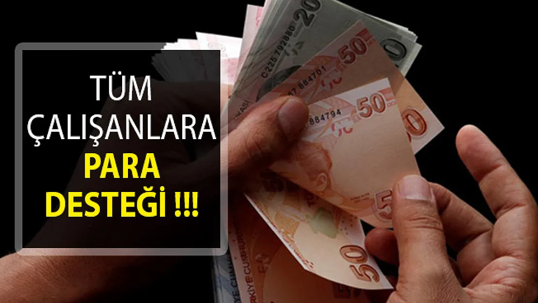 Tüm Çalışanlara Para Desteği! Başvuru Yapın Paranızı Alın