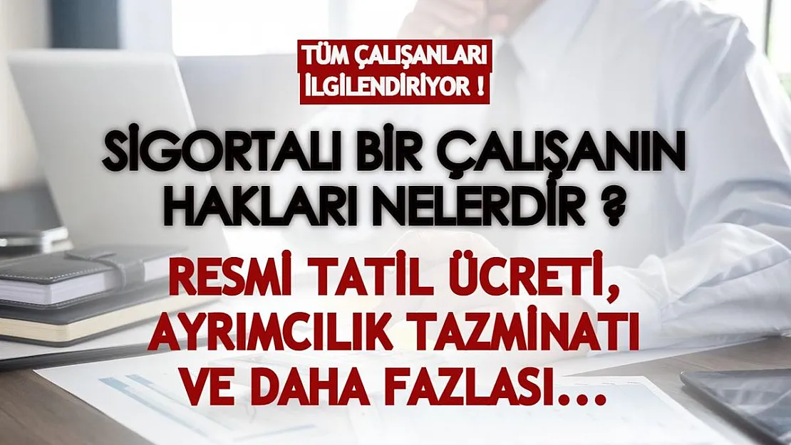 Tüm çalışanları ilgilendiriyor! Sigortalı bir çalışanın hakları nelerdir? Resmi tatil ücreti, ayrımcılık tazminatı ve dahası...