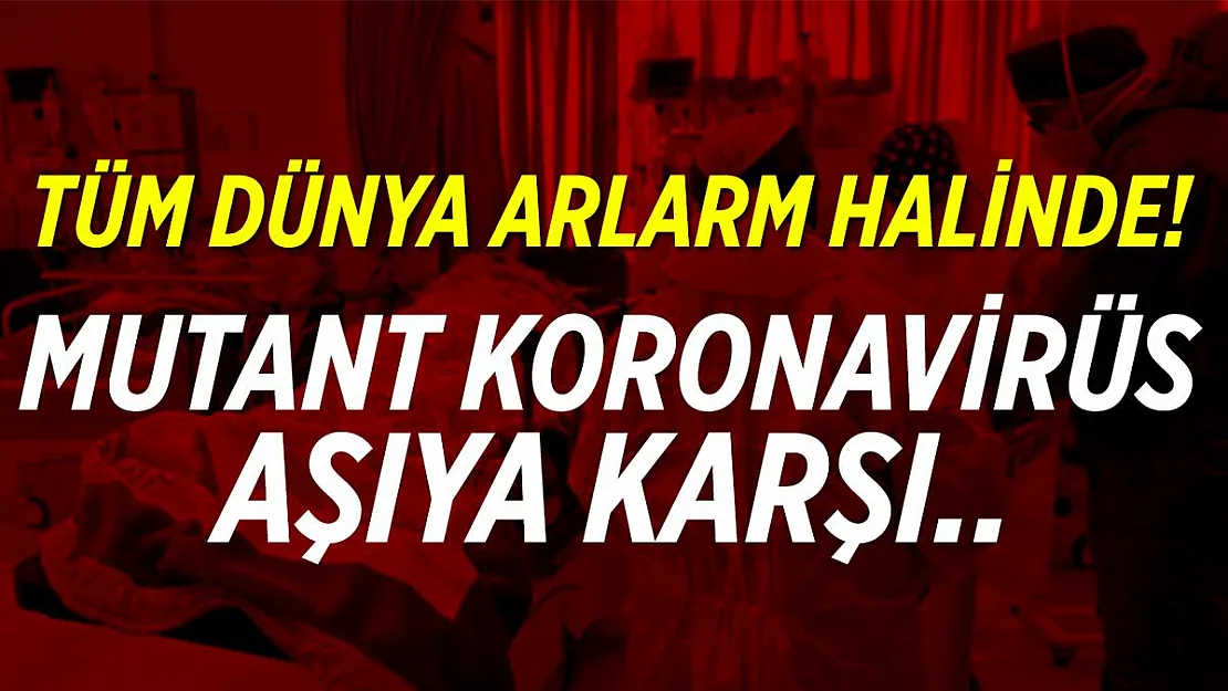 Tüm dünya alarm halinde! Mutant virüs aşıya karşı..