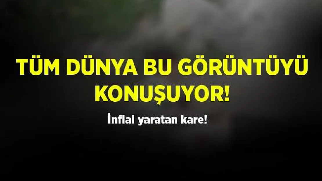 Tüm dünya bu görüntüyü konuşuyor! Gündeme bomba gibi düştü!