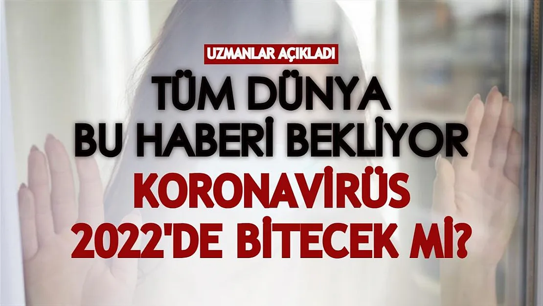 Tüm dünya bu haberi bekliyor! Koronavirüs 2022'de bitecek mi?