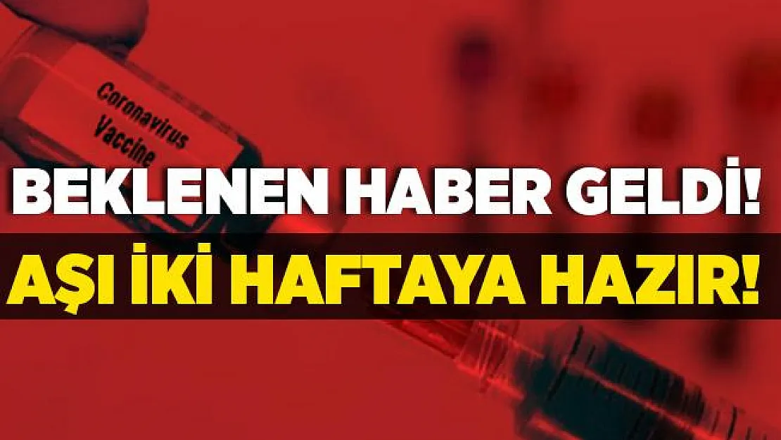 Tüm dünya bu haberi bekliyordu! Rusya duyurdu! Koronavirüs aşısı iki hafta içinde hazır olacak!