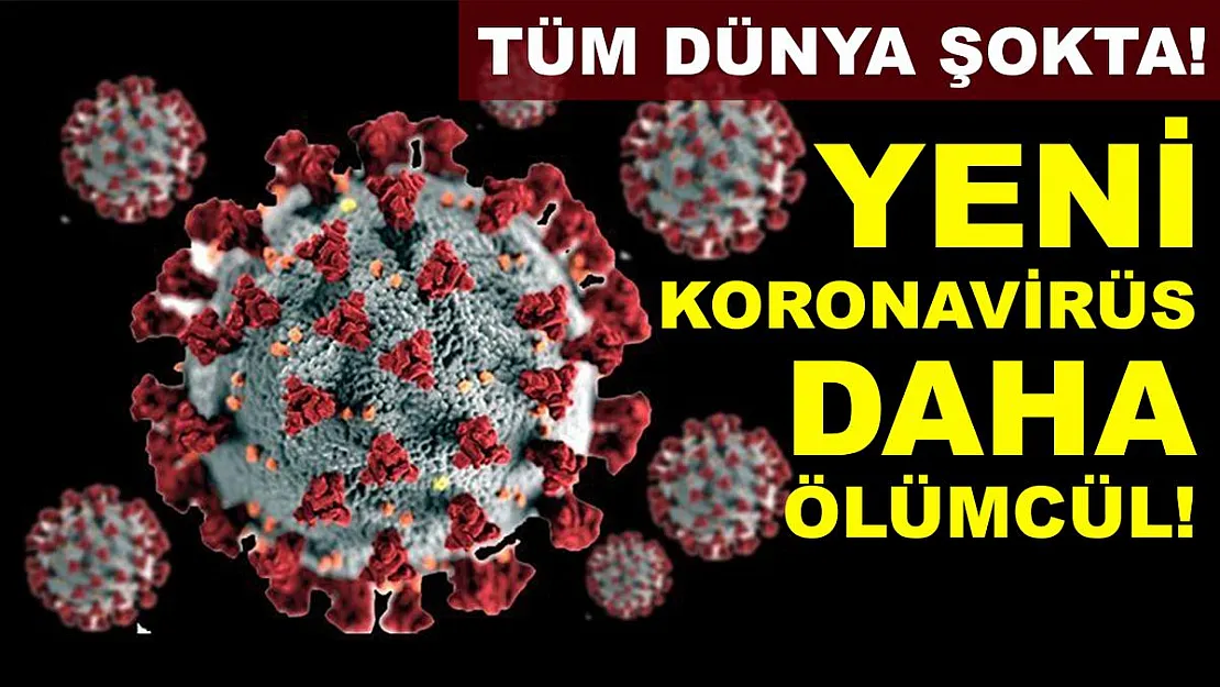 Tüm dünya şokta! Kanıtlar var! Yeni koronavirüs daha ölümcül!