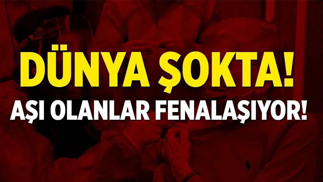 Tüm dünya şokta! Koronavirüs aşısı olan fenalaşıyor! Aşı durduruldu!