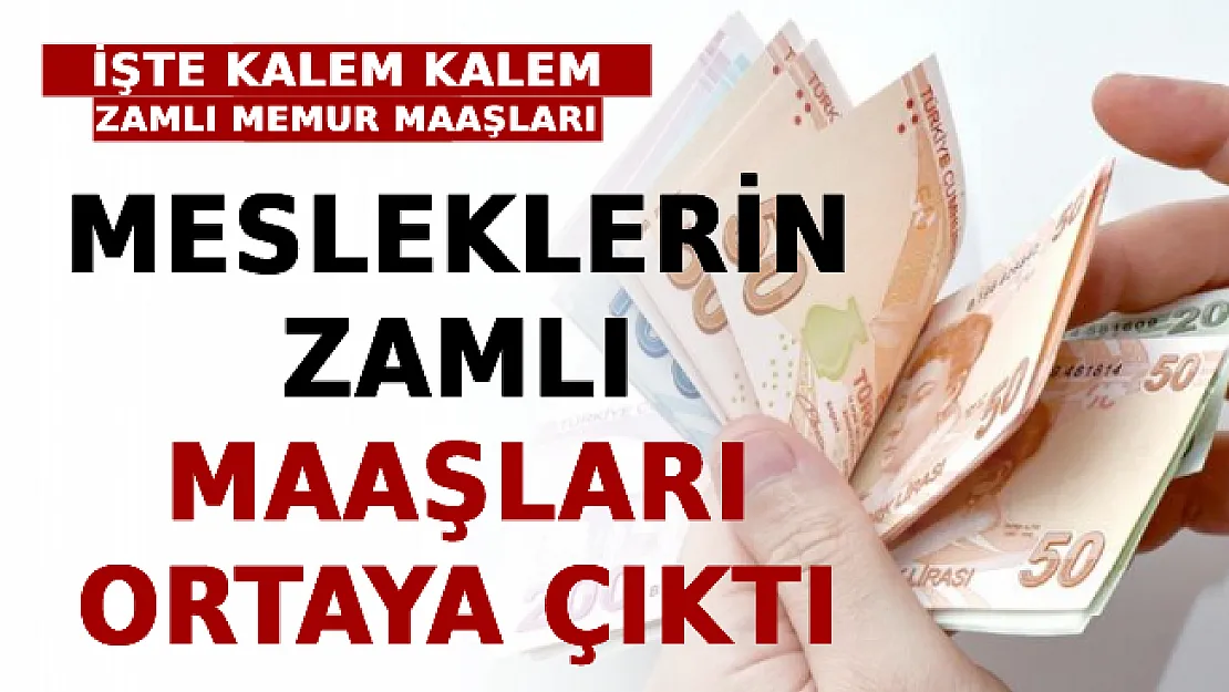 Tüm Meslek Gruplarının Zamlı Maaşları Ortaya Çıktı! İşte Kalem Kalem Zamlı Memur Maaşları!