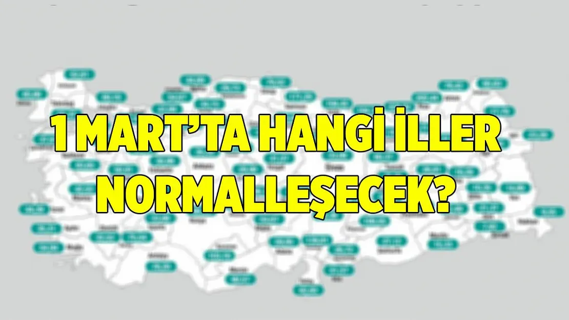 Tüm Türkiye merak ediyor! 1 Mart'ta hangi iller normalleşecek?