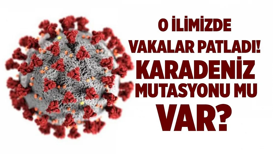 Tüm Türkiye tedirgin! Ülkemize özgü mutasyon mu tespit edildi?