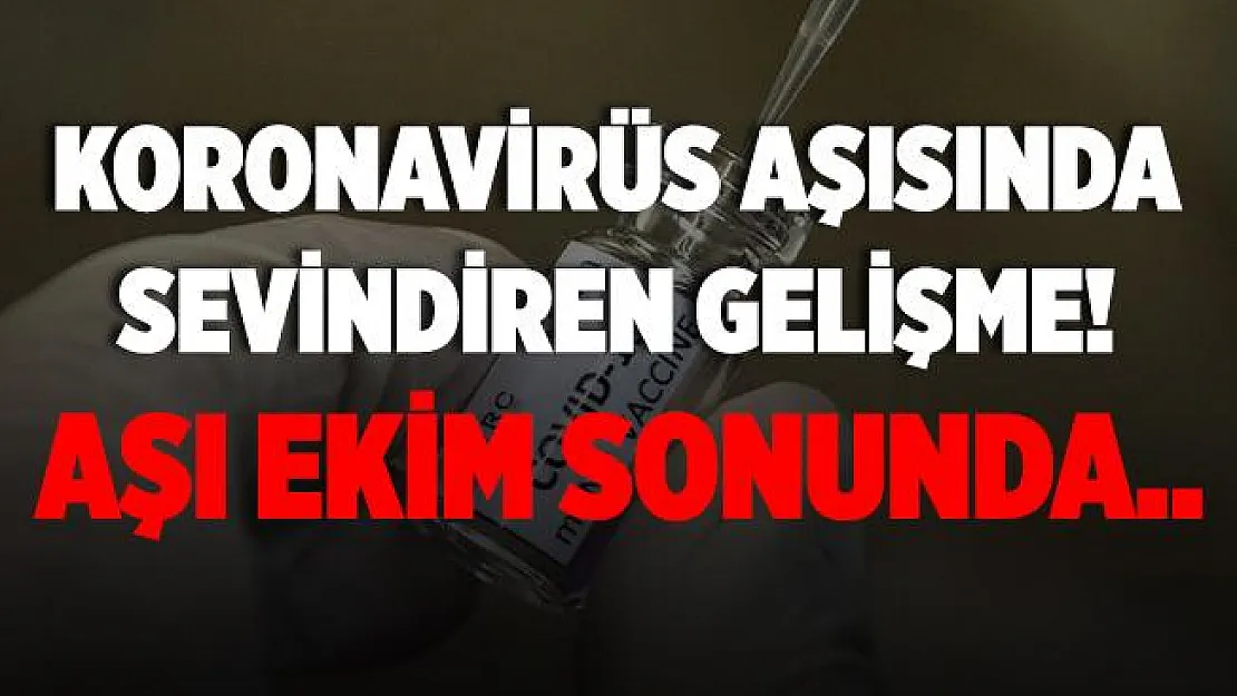 Türk bilim insanı duyurdu! Koronavirüs aşısında sevindiren gelişme! Aşı önümüzdeki ay hazır olabilir!