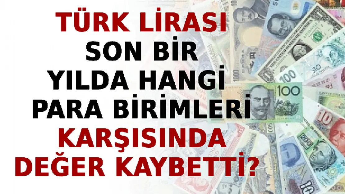 Türk Lirası Son Bir Yılda Hangi Para Birimleri Karşısında Değer Kaybetti? İşte Ülkelerin Tam Sıralı Listesi