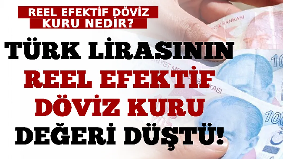 Türk Lirasının Reel Efektif Döviz Kuru Değeri Düştü! Reel Efektif Döviz Kuru Nedir?