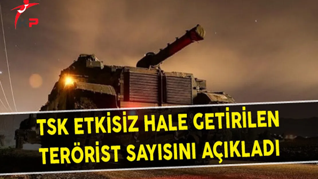 Türk Silahlı Kuvvetleri Etkisiz Hale Getirilen Terörist Sayısını Açıkladı