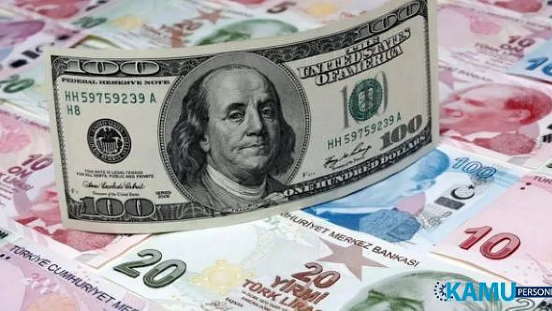 Türk yatırımcı TL'den kaçıyor Dolar'a tutunuyor! Döviz alımı tarihi zirvede net rezervler azaldı