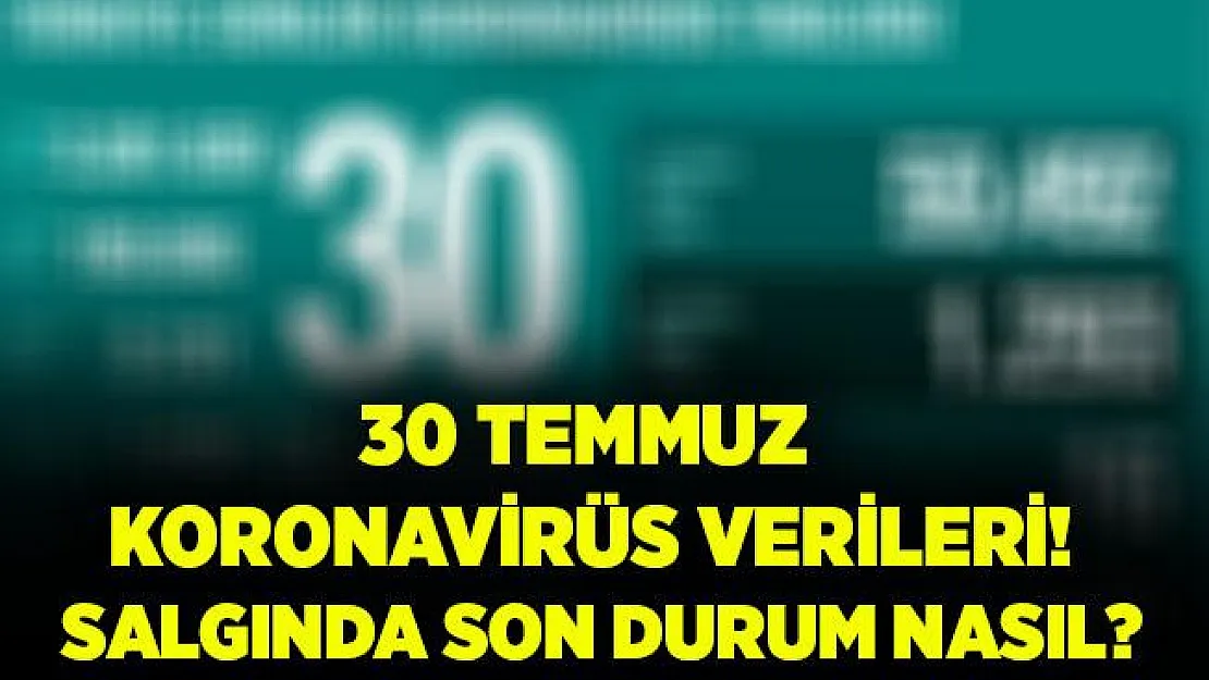 Türkiye 30 Temmuz koronavirüs tablosu! Vaka sayısı..