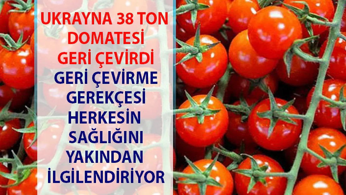 Türkiye domateslerinde sağlığa zararlı madde var gerekçesi ile 38 ton iade edildi.
