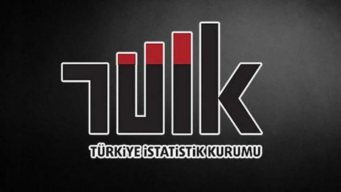 Türkiye İstatistik Kurumu (TÜİK) Başkanı da değişti