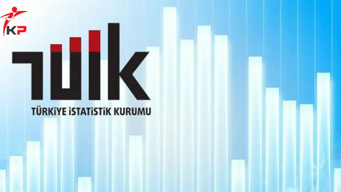 Türkiye İstatistik Kurumu Uzmanlığı Yönetmeliğinde Değişiklik Yapıldı