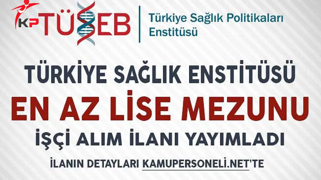 Türkiye Sağlık Enstitüleri Başkanlığı Sürekli İşçi Alım İlanı