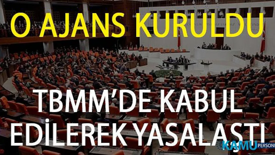 Türkiye Turizm Tanıtım ve Geliştirme Ajansı Kuruldu! Kanun Teklifi TBMM'de Kabul Edildi