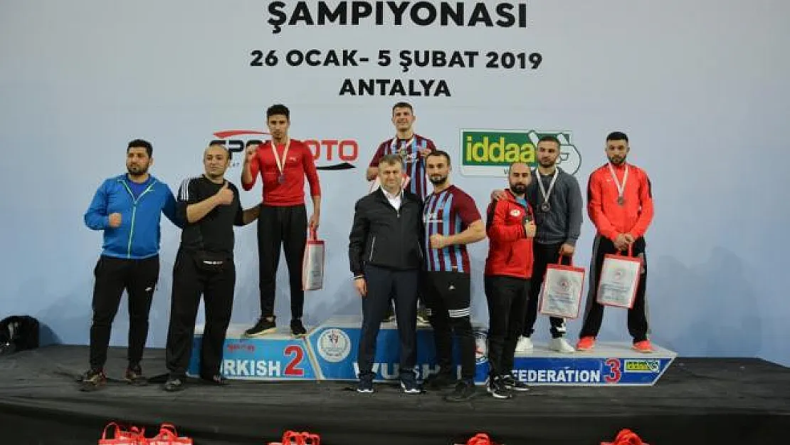Türkiye Wushu Şampiyonası