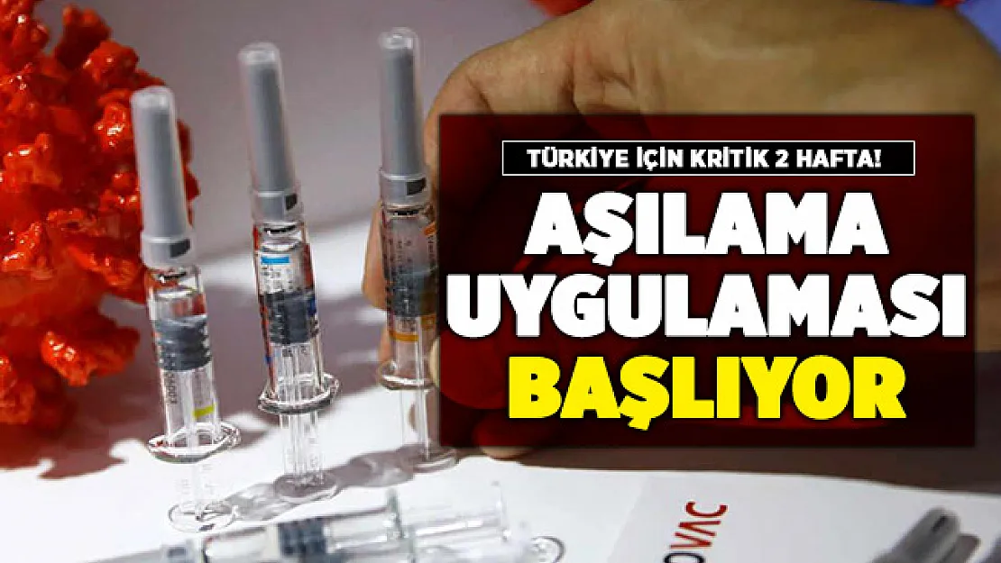 Türkiye'de 2 hafta sonra corona virüs aşılaması başlıyor!