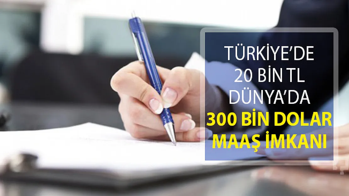 Türkiye'de 20 Bin TL Dünya'da 300 Bin Dolar Maaş Veriliyor! İşte Yapılacak İş ve Şartlar