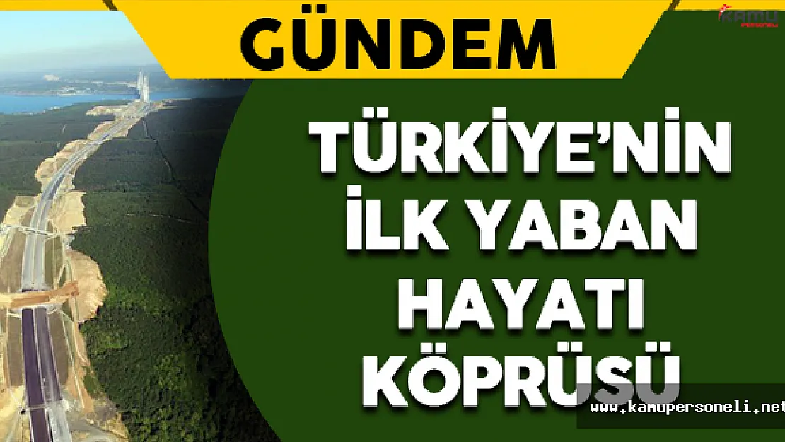 Türkiye'de Bir İlk Olacak !