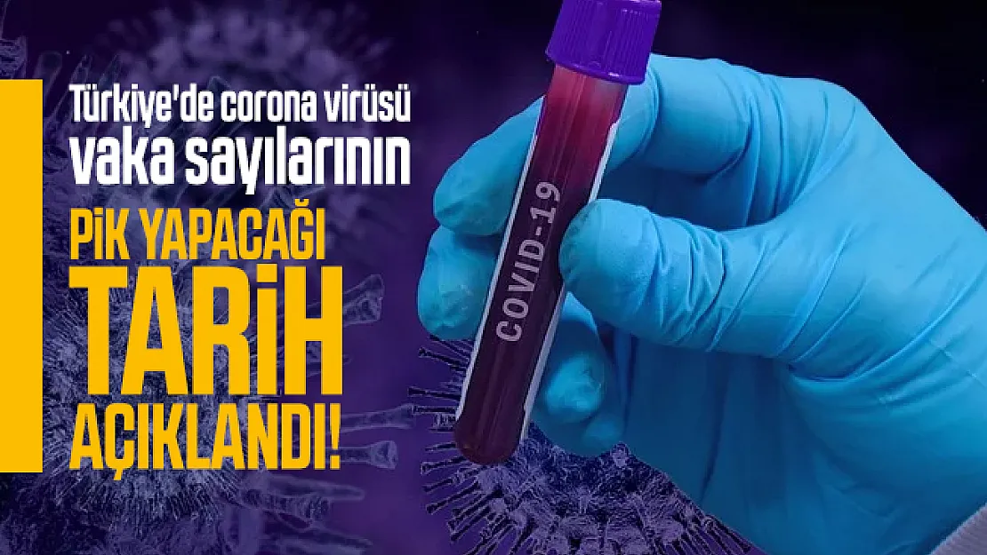 Türkiye'de corona virüsü vaka sayılarının pik yapacağı tarih açıklandı!