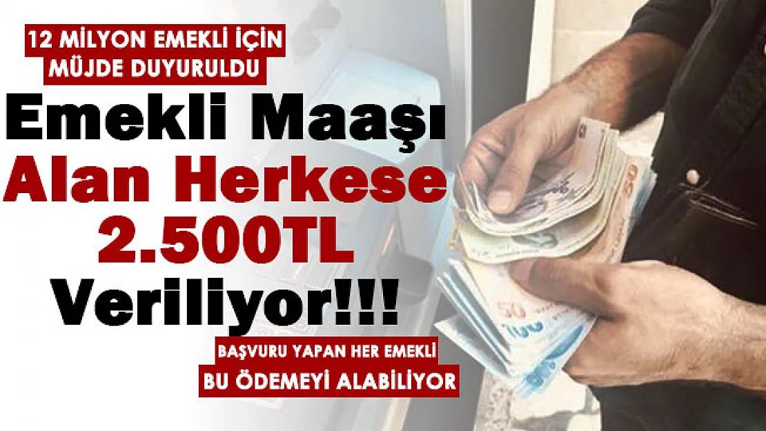 Türkiye'de emekli maaşı alan 12 milyon kişiye 2 bin 500 lira veriliyor! Başvuru yapan her emekliye ödemeyapılıyor