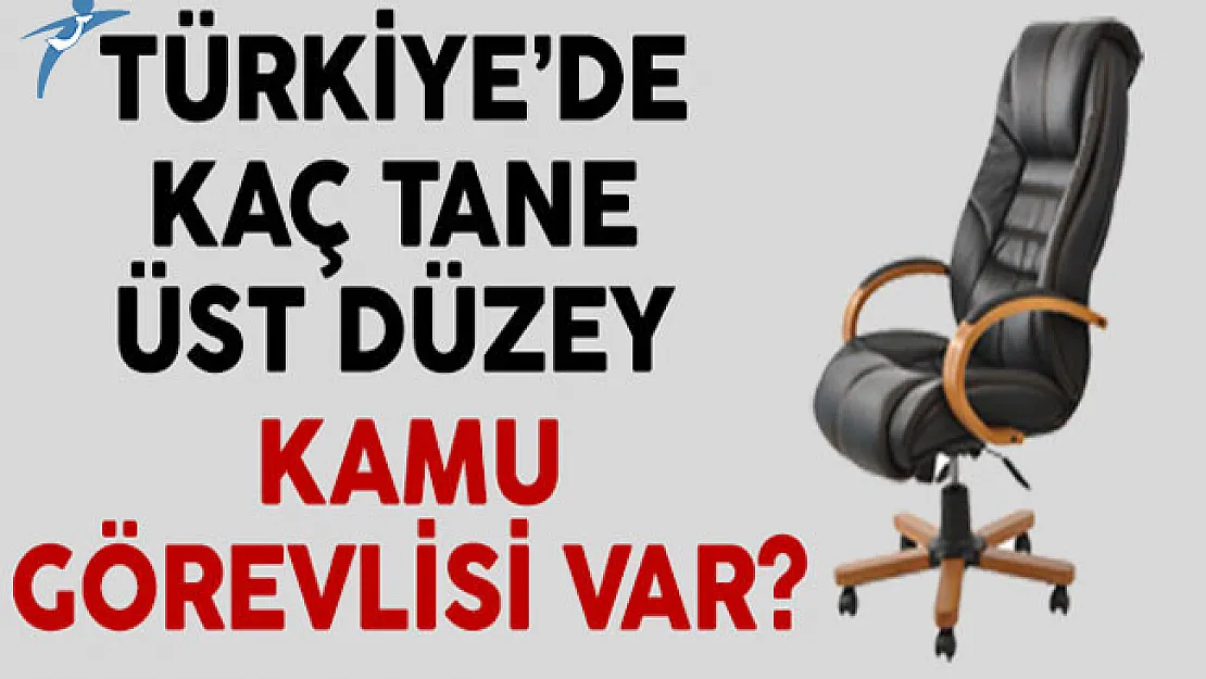 Türkiye'de Kaç Tane Üst Düzey Kamu Görevlisi Var?