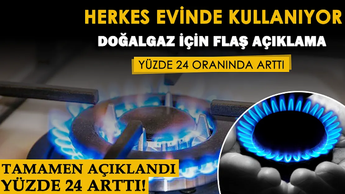 Türkiye'de neredeyse herkes evinde doğalgaz kullanıyor: Çok önemli açıklama yapıldı! Yüzde 24 arttı