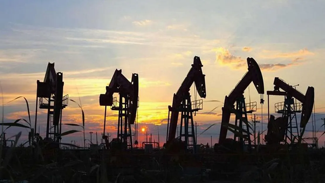Türkiye'de Petrol Sevinci: Gabar, Katon ve Cudi'de Rezerv Bulundu