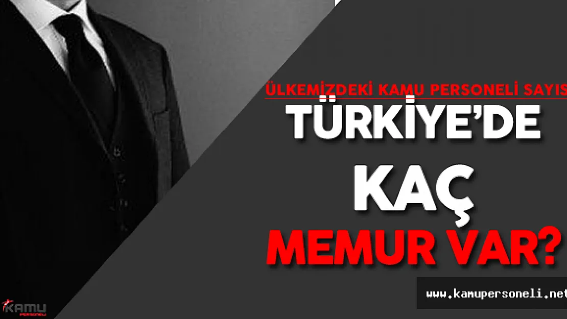 Türkiye'de Toplam Kaç Memur Görev Yapıyor? (Kamu Personeli Sayısı)