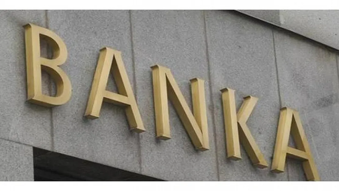 Türkiye'de Yatırım ve Kalkınma Bankası Sayısı 14'e Yükseldi