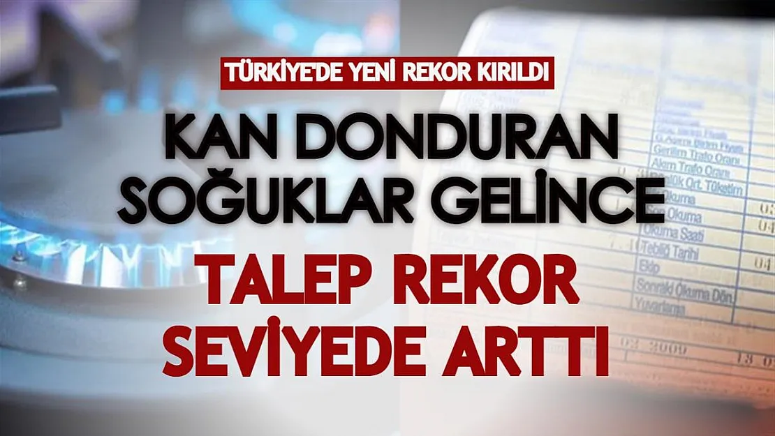 Türkiye'de yeni rekor kırıldı! Kan donduran soğuklar gelince talep rekor seviyede arttı