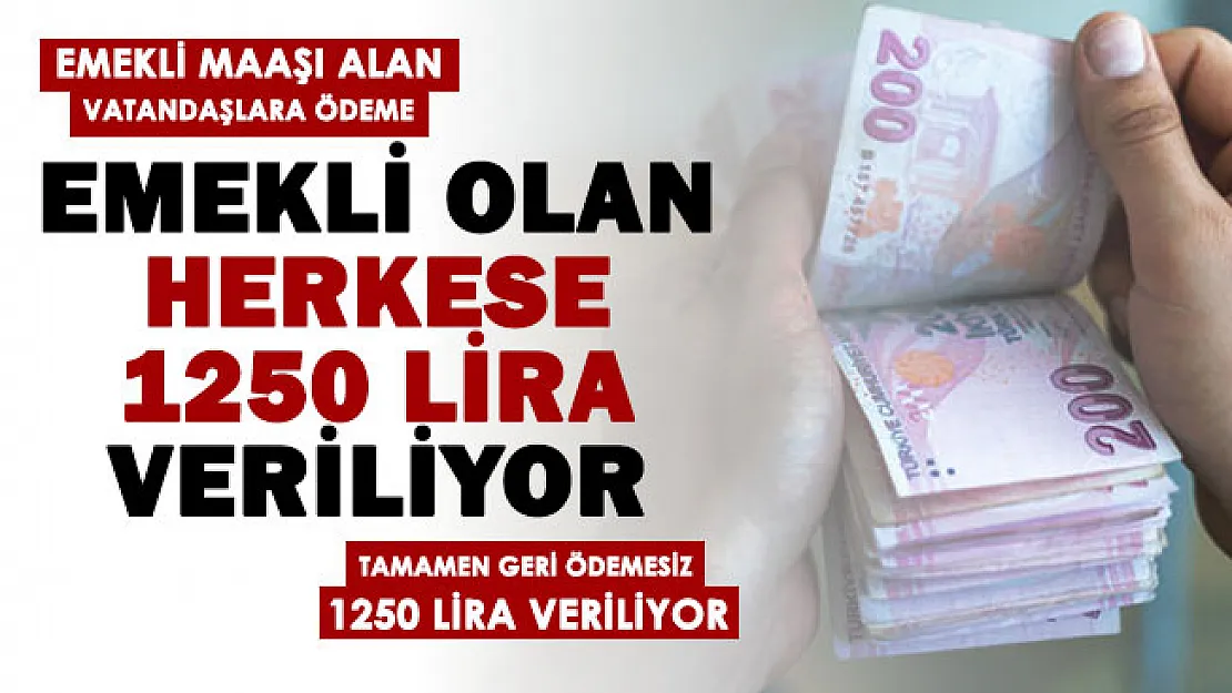 Türkiye'deki tüm emeklilere 1250 lira nakit veriliyor! Aralık sonuna kadar geri ödemesiz para veriliyor
